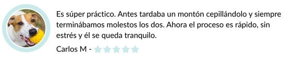 Reseña 2